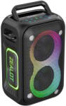 Zealot PT02 2mics Black