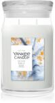 Yankee Candle Silver Birch lumânare parfumată 567 g