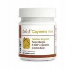 DOLFOS Tablete pentru câini talie mică predispuși la coprofagie DOLFOS Dolvit Cayenne Mini 60 tablete