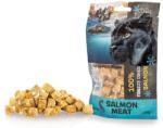  KID CAT Kid Cat Super Premium 100% carne de somon liofilizată pentru pisici 25 g