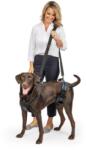 PetSafe Carelift Emelőhám - L - 32-59 Kg- Idős, Sérült És Mozgásukban Korlátozott Kutyák Számára (PTV17-16880)