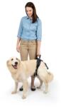 Kurgo Petsafe Carelift Hátsó Emelőhám - L - 32-59 Kg- Idős, Sérült És Mozgásukban Korlátozott Kutyák Számára (PTV17-16882)