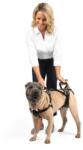 PetSafe Carelift Emelőhám - M - 16-32 Kg- Idős, Sérült És Mozgásukban Korlátozott Kutyák Számára (PTV17-16879)