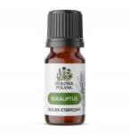 Ziołowa Polana Eukaliptusz illóolaj 10ml Ziołowa Polana (5905793548034)