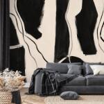 Dovido Tapet linii abstracte alb-negru - 294x270