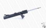 MONROE Amortizor MONROE G16258 (G16258) - autoeco