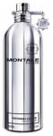 Montale Patchouli Leaves Tester EDP 100 ml (2000714505752) Parfum