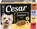 Cesar tasak MP nedves kutyaeledel vegyes válogatás szószban 12x100g