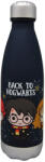 Kids Licensing Harry Potter Hogwarts 650 ml EWA072HP