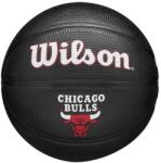 Wilson NBA Team Tribute Mini kosárlabda - hivatalos csapatlabda miniatűr méretben