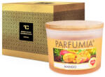  MANGO | lumânare cu aromă de soia | 2 fitiluri | PARFUMIA® | 400 ml