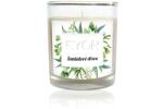 Ryor - Lumânare mică - Lemn de santal - 65 g