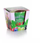  Lumanari Bartek iarna tutti frutti 115g