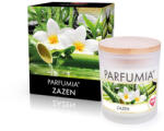  ZAZEN | lumânare parfumată cu soia | PARFUMIA® | 250 ml