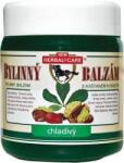 Herbal Care Balsam din plante cu răcorire din castane indiene 500 ml