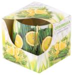 Lumânare parfumată în sticlă, decorativă, în cutie, Citronella 75x75mm