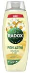Radox Gel de duș Caress 450 ml