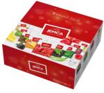 Jemča Amestec de ceai Gastro 160 g