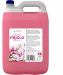 Lavon Săpun lichid Magnolia 5L