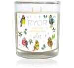  Ryor - Lumânare ePiPí cu parfum de lemn de santal - 210 g