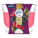  Lumânare Glade 204g Fructe de pădure de iarnă