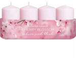 Bartek Candles Lumânări cilindru 40x70 floare de cireș 240g
