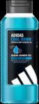  Adidas SG 250ml BĂRBAȚI Cool Down