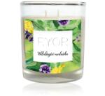  Ryor - Lumânare mare - Balsam de lămâie calmant - 210 g