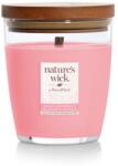 Nature's Wick Pahar mediu cu sare Nature's Wick, pepene verde