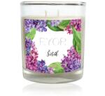  Ryor - Lumânare mare - Liliac - 210 g
