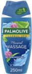  Palmolive SG 250ml Masaj Wellness