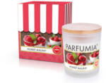  ZMEURĂ CALDĂ | lumânare parfumată cu soia | PARFUMIA® | 250 ml