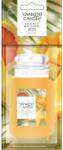  Lumânare Yankee Parfumuri Auto Starfruit & Sunshine - Etichetă De Hârtie