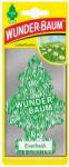 Wunder-Baum Everfresh