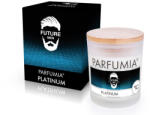  PLATINUM | lumânare parfumată cu soia | PARFUMIA® | 250 ml