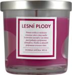 Q Home Lumânare 195g fructe de pădure