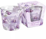 Bartek Candles Lumânări orhidee phalaenopsis 115g