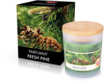  FRESH PINE | lumânare parfumată cu soia | PARFUMIA® | 250 ml