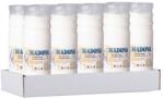  Depozit Madona 240g ~4 zile turnare albă 10 buc