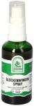 Gall Pharma Codonopsis, spray, 50 ml, Gall Pharma