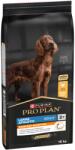 PRO PLAN 2x16kg PURINA PRO PLAN Large Athletic Adult Everyday Nutrition száraz kutyatáp