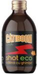 Pronat Glass Pack Shot de Catina cu Ghimbir, Catiboom, Bio, 100 ml