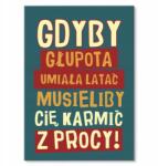 SteelPoster Fém poszter Ha hülyeség lenne Tábla 30 x 42 cm +ajándék (plakat dekoracyjny, metalowa tablica, szyld)