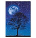 SteelPoster Fém poszter Tree and moon Tábla Tepsi 22 x 31 cm +ajándék (plakat dekoracyjny, metalowa tablica, szyld)