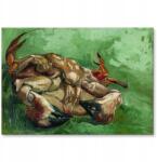 SteelPoster Fém poszter Crab on its back van Gogh Tábla Tepsi 22 x 31 cm +ajándék (plakat dekoracyjny, metalowa tablica, szyld)