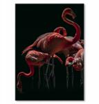 SteelPoster Fém poszter Flamingók Tábla Tepsi 42 x 59, 4 cm +ajándék (plakat dekoracyjny, metalowa tablica, szyld)