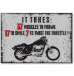 SteelPoster Fém poszter motorcycle takes Tábla 30 x 42 cm +ajándék (plakat dekoracyjny, metalowa tablica, szyld)