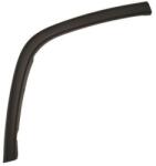 Blic Elemente decorative/protectie, portiera Blic 5703-08-3206376P (5703-08-3206376P)
