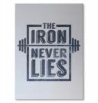SteelPoster Fém poszter Iron never lies Tábla 30 x 42 cm +ajándék (plakat dekoracyjny, metalowa tablica, szyld)