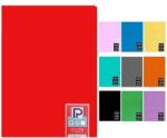 Paperland Caiet A4, 60 file, velin, coperta plastic PP400, hartie 70 g/mp, Paperland (24000287)